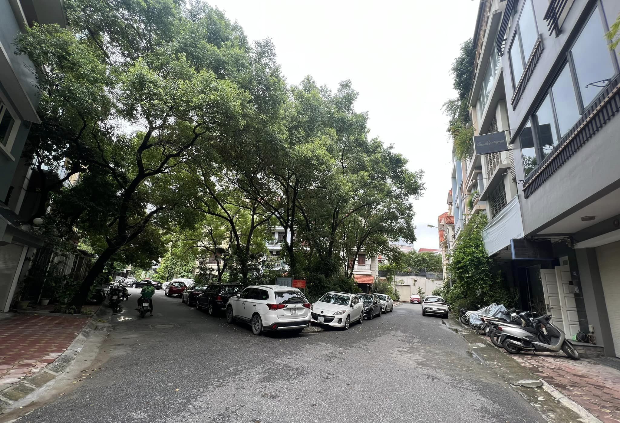 Siêu Phân Lô, Phố Giảng Võ, Quận Đống Đa 65m x 5T. Giá 26 tỷ.