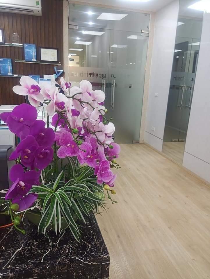 Mặt Phố Nam Đồng 115M2 6 Tầng Thang máy MT 4.5M -37.5 Tỷ - Dòng Tiền Cao