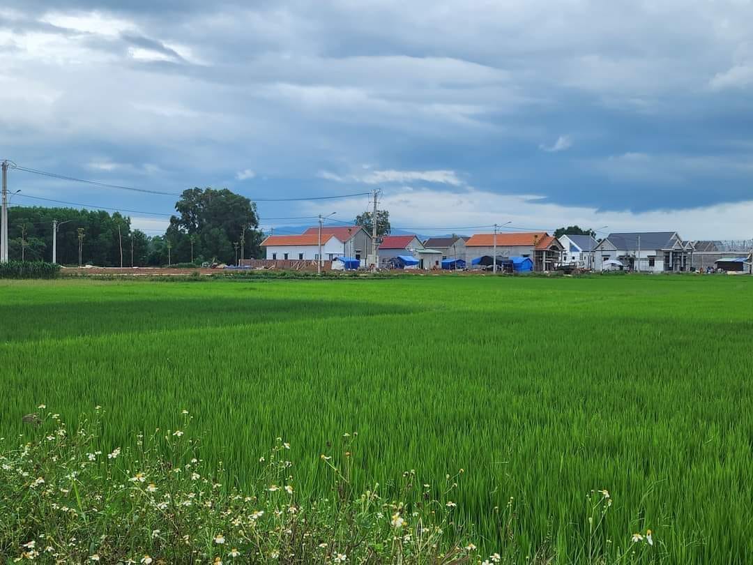 Mỹ Hiệp Phù Mỹ - Cần bán đất thôn Đại sơn. vị trí đẹp giáp quốc lộ 1A và đường tây tỉnh DDT638