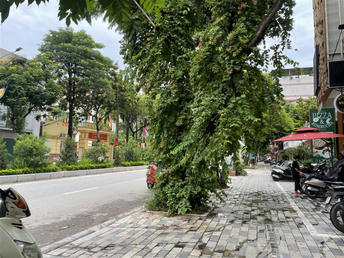 Bán Nhà Mặt Phố Lạc Long Quân Quận Tây Hồ. 164m Nhỉnh 18 Tỷ. Cam Kết Ảnh Thật Mô Tả Chính Xác. Chủ Thiện Chí Cần Thanh