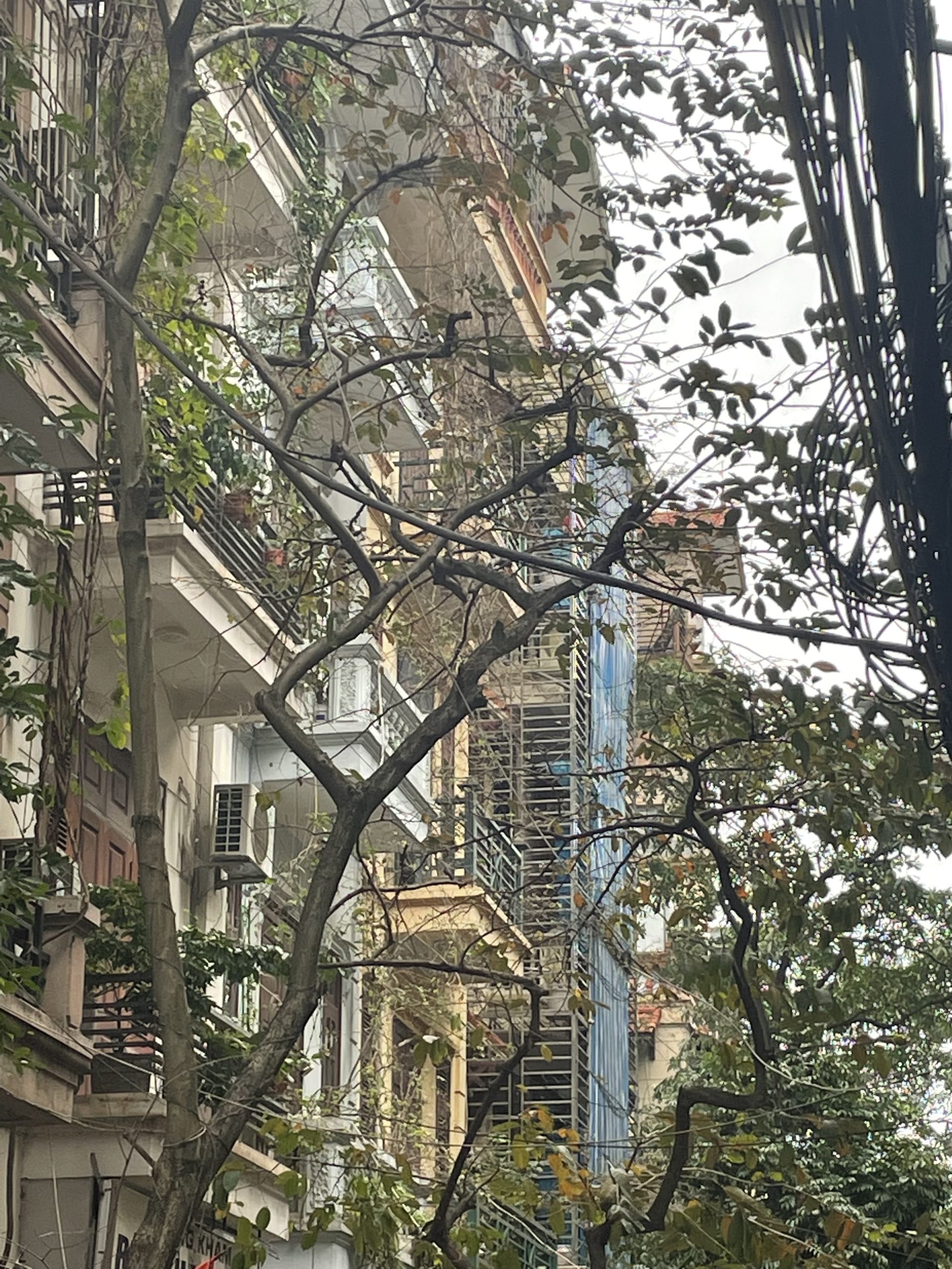 CHỦ BÁN GẤP NHÀ S: 112 m2 x 5 TẦNG , MT: 7,5 m.GIÁ CHỈ 11,5 tỷ