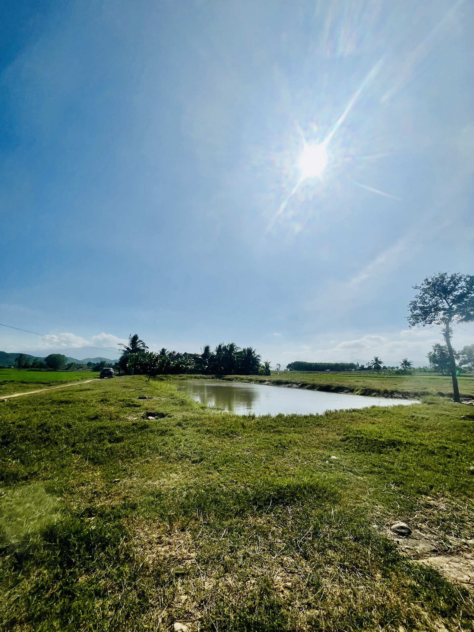 MÃ 969 (NH-25): BÁN LÔ ĐẤT DÂN Ở PHƯỚC LÂM, NINH XUÂN GIÁ ĐẦU TƯ