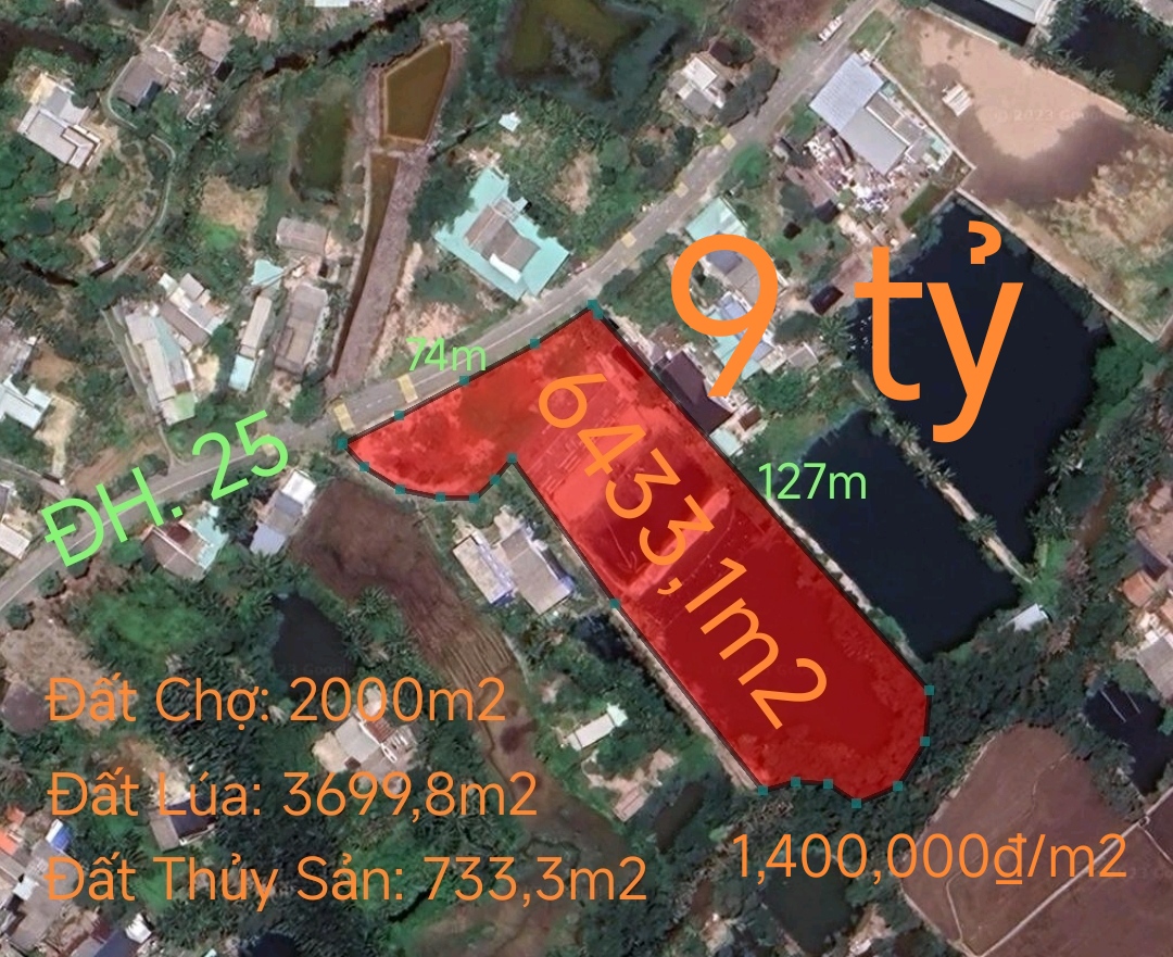 Bán lô đất lúa làm chợ không dính quy hoạch giá 9 tỷ