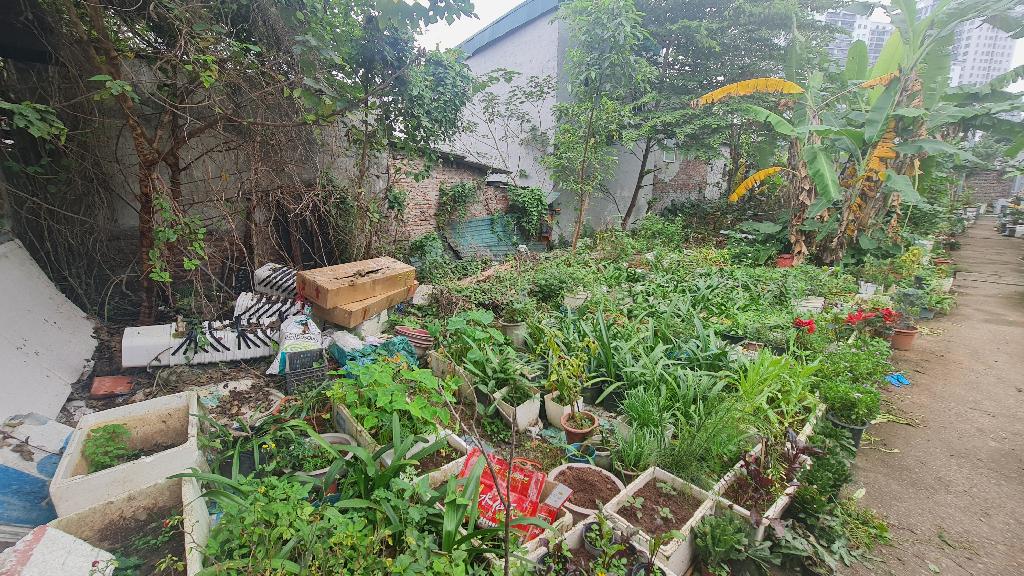 Bán nhà phố Lạc Long Quân 2.9 tỷ 114m2 mặt tiền 20m gần Hồ Tây và Lotte Mall