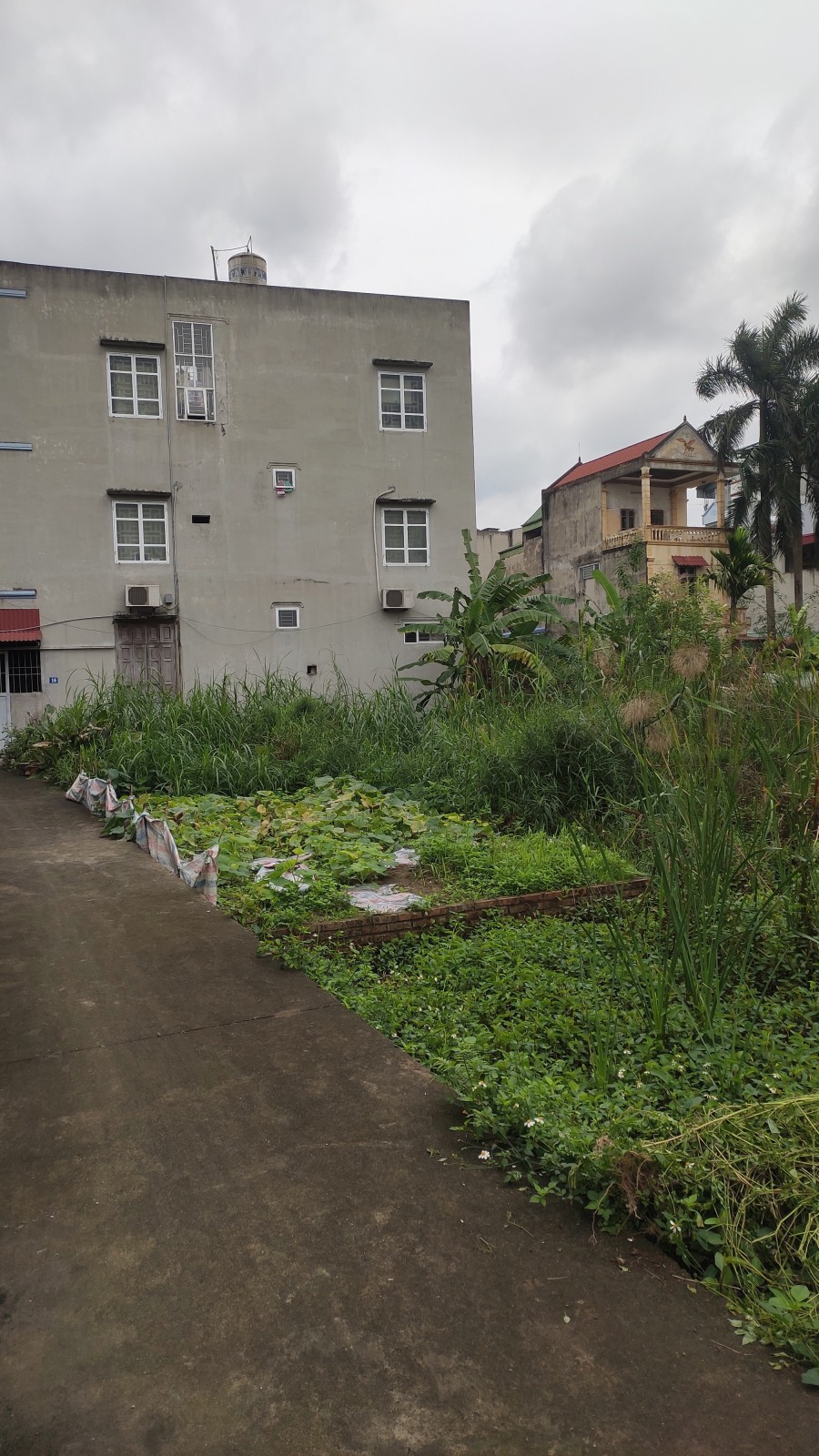 Nhỉnh 1.x tỷ có ngay thửa đất SIÊU HIẾM phân lô gần vườn hoa PHÚC LỢI - hàng xóm Vinhomes - ô tô nhỏ đỗ cửa - gần