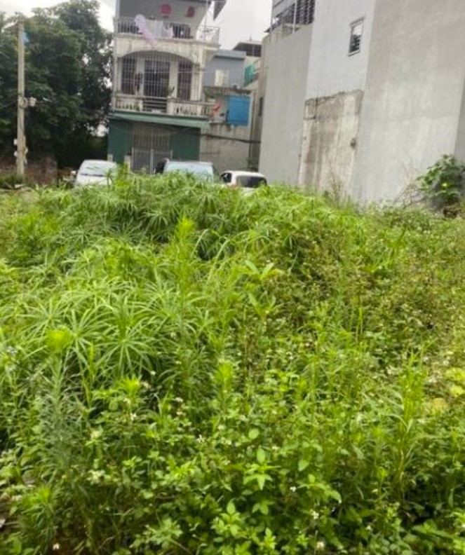 Phương nhị_Liên Ninh_ngõ nông rộng, gần ô tô tránh 40m_ mt 3.6 m_1,x tỷ