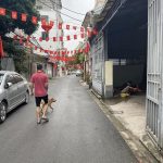  50m2 - 6