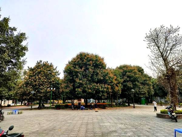 Bán Nhà Mặt Phố Hạ Yên Quyết Quận Cầu Giấy. 162m Xây 10 Tầng Mặt Tiền 10m Nhỉnh 55 Tỷ. Cam Kết Ảnh Thật Mô Tả Chính