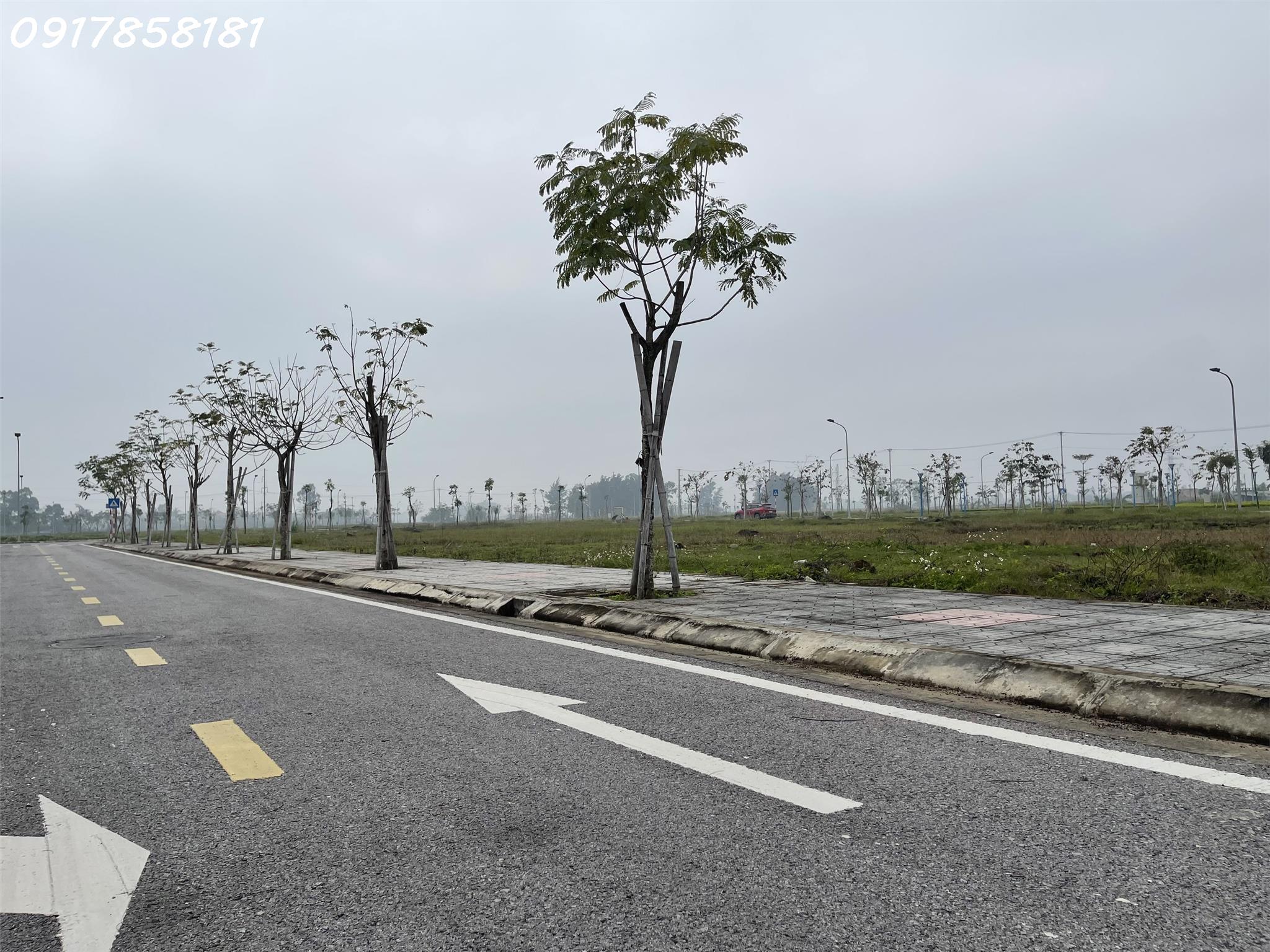 GIÁ TỪ 16 TRIỆU/M2. QUỸ ĐẤT ĐÔ THỊ SẦM SƠN CUỐI CÙNG. RA SỔ NGAY. ĐẤT NỀN BIỆT THỰ SÔNG ĐƠ, TP.SẦM SƠN. LH: 0917 858181