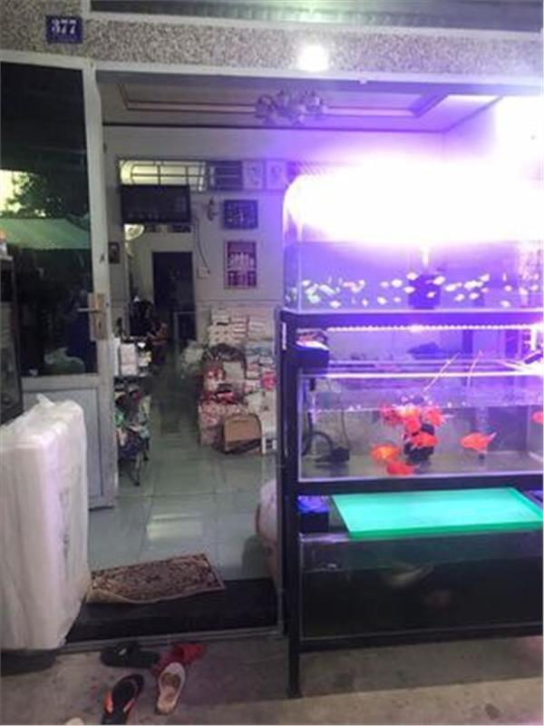 NHÀ ĐẸP - GIÁ TỐT - Bán Nhanh Nhà Chính Chủ Vị Trí tại Thị Trấn Phong Điền - Huyện Phong Điền - Cần Thơ