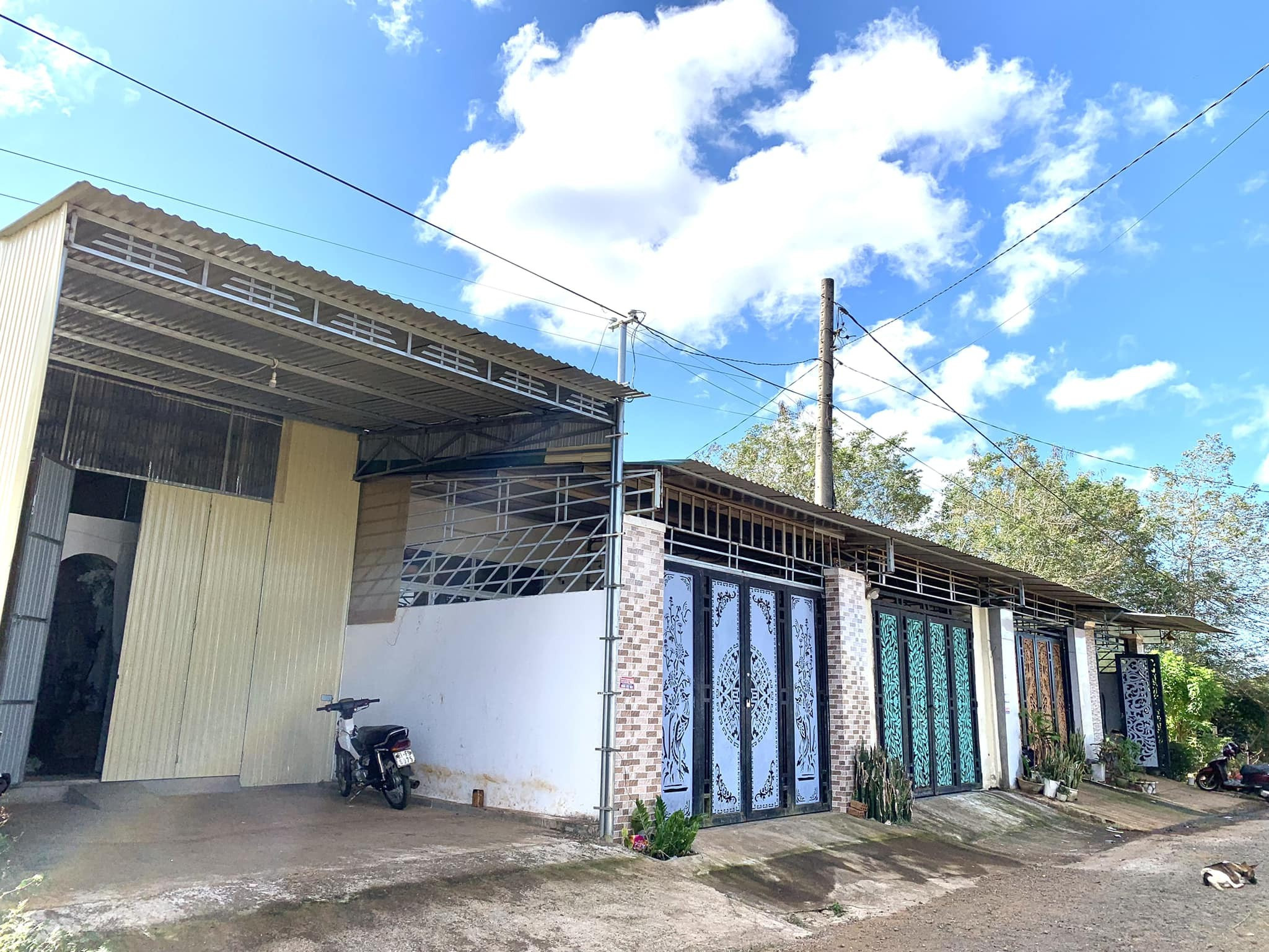 Bán đất tặng nhà tôn đồi thông cách phố đi xe 1 phút ( nhà đầu tiên