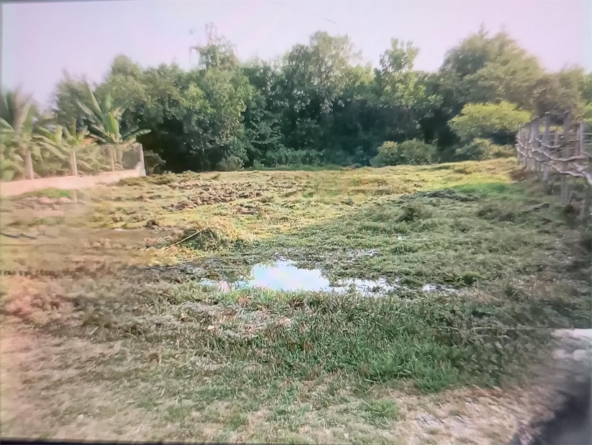 CHÍNH CHỦ CẦN BÁN Lô Đất Vị Trí Đẹp Tại Xã An Bình, Châu Thành, Tây Ninh