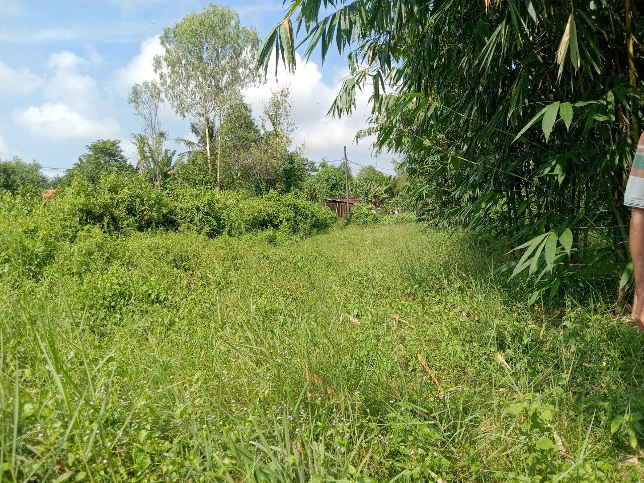 CHÍNH CHỦ CÓ LÔ ĐẤT CẦN BÁN TẠI THÁI MỸ, CỦ CHI