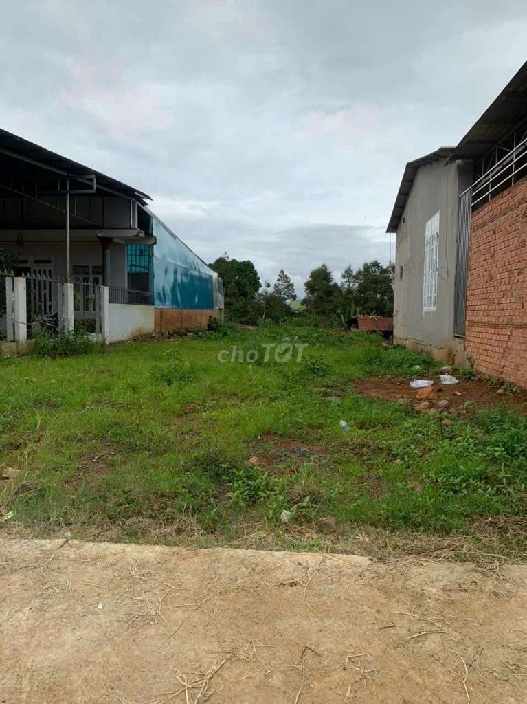 CHÍNH CHỦ CẦN BÁN LÔ ĐẤT MẶT TIỀN XÃ LỘC NGA – TP BẢO LỘC – LÂM ĐỒNG