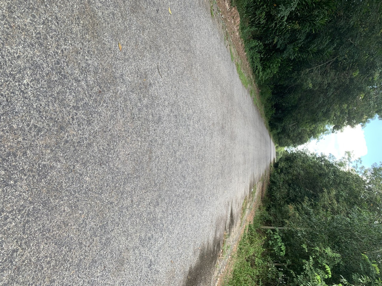 * CHÍNH CHỦ CẦN BÁN GẤP LÔ ĐẤT XÃ ĐỊNH THÀNH - HUYỆN DẦU TIẾNG - BÌNH DƯƠNG *