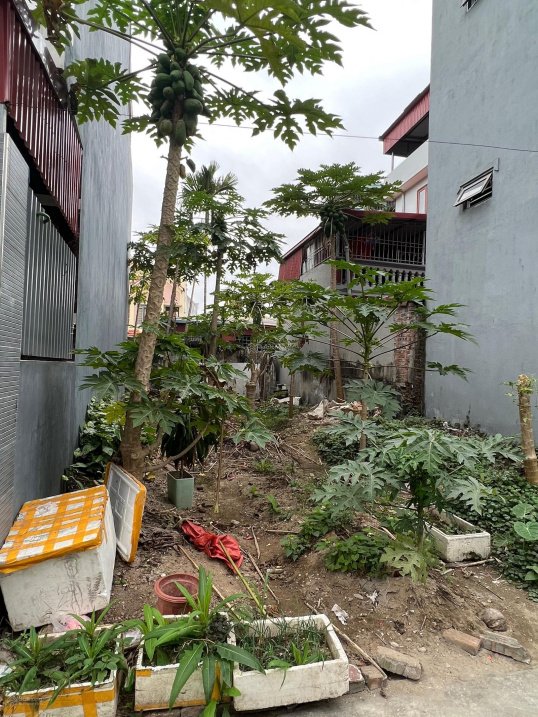 Bán đất vuông đẹp 79.09m2 Kiến An, Hải Phòng