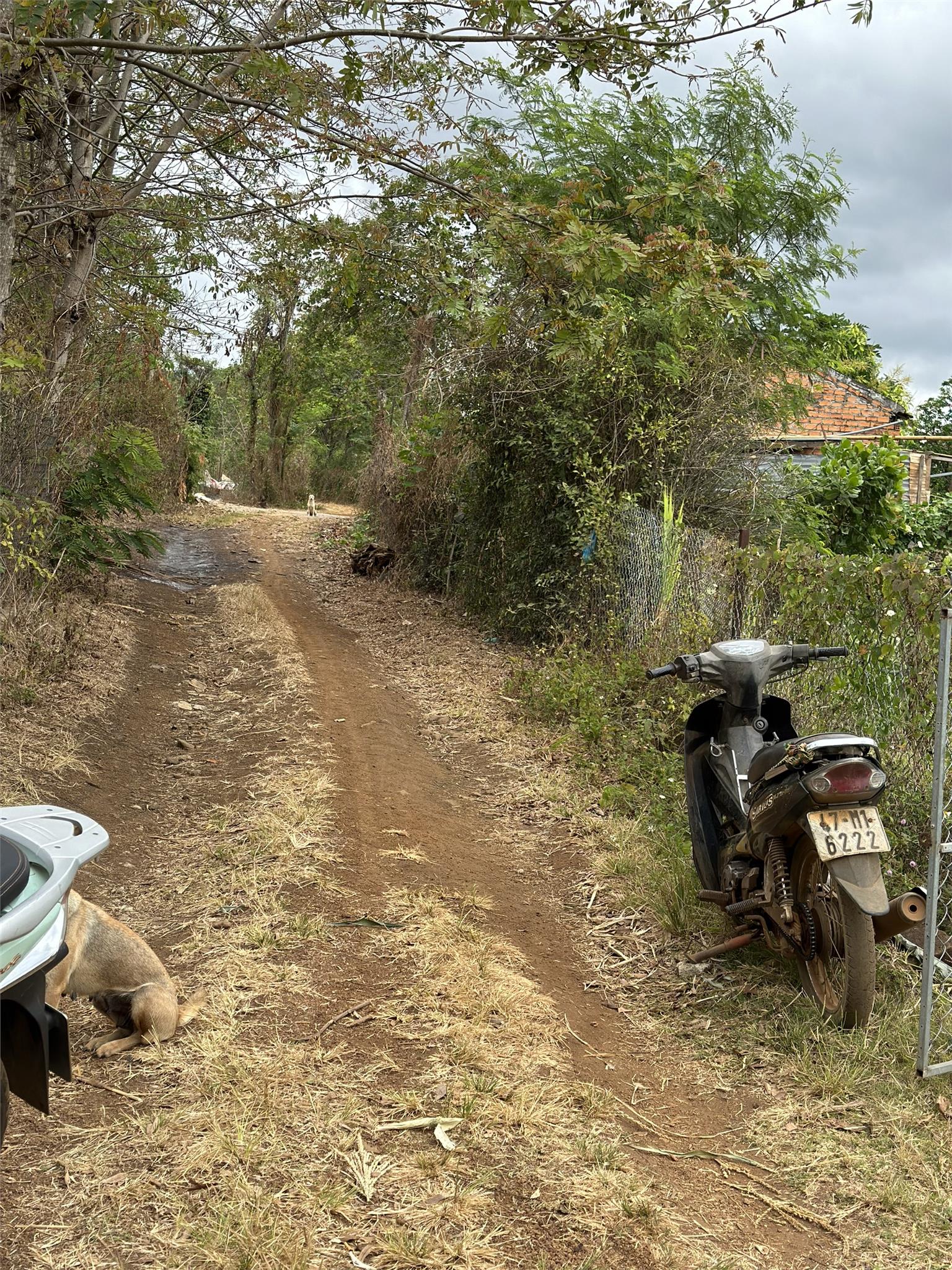 Sở Hữu Ngay Lô Đất Vị Trí Đắc Địa Tại xã Ea Nuôl huyện Buôn Đôn, tỉnh Đắk Lắk