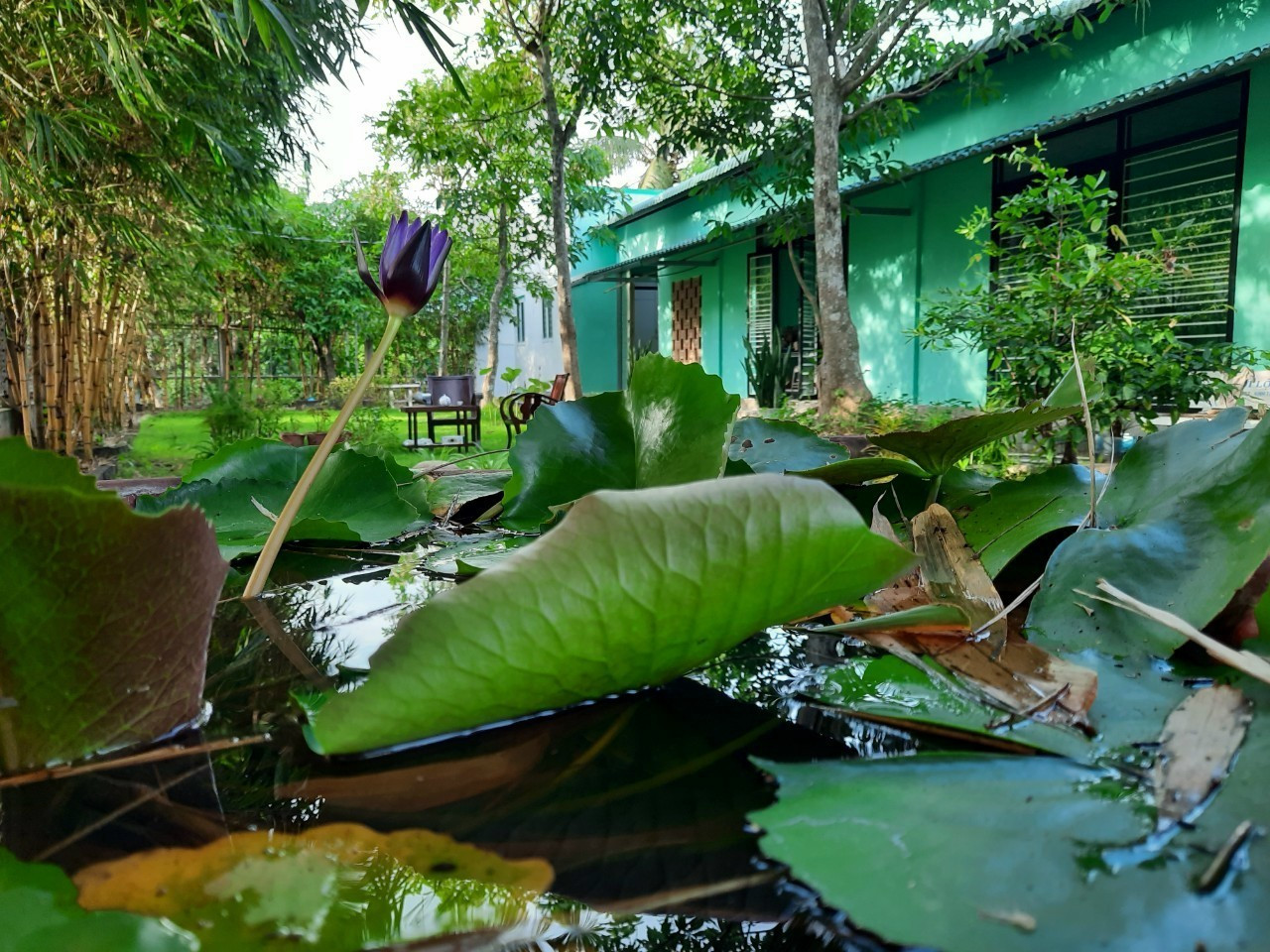 CHO THUÊ ĐẤT, VÀ NHÀ MẶT TIỀN, VỊ TRÍ CỰC ĐẸP, THUẬN TIỆN KINH DOANH TP MỸ THO, TIỀN GIANG