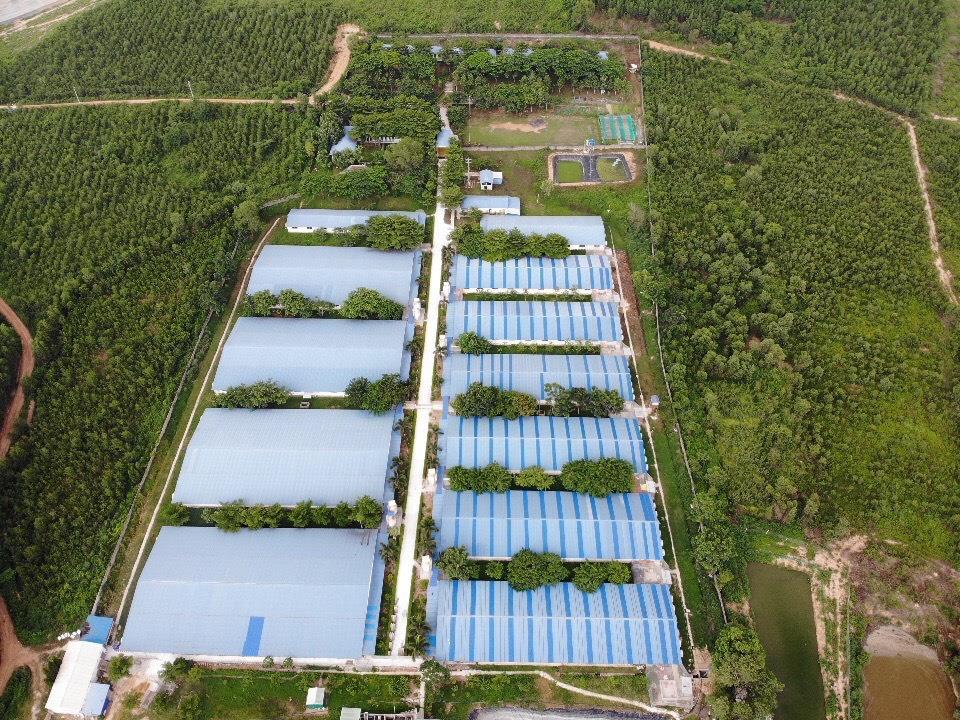 ĐẤT CHÍNH CHỦ - GIÁ TỐT - Bán Trang Trại Heo Tại Xã Xuân Bắc, Xuân Lộc - Đồng Nai