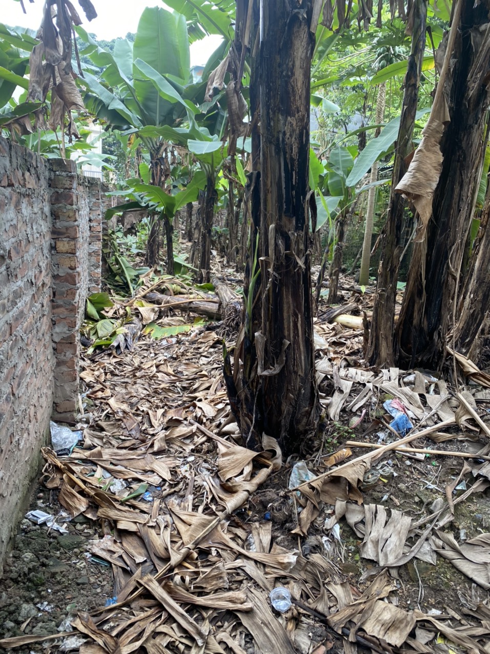 Bán nhanh mảnh 46m, Vân tảo gần ubnd gần TL427 Thường Tín giá nhỉnh 500tr