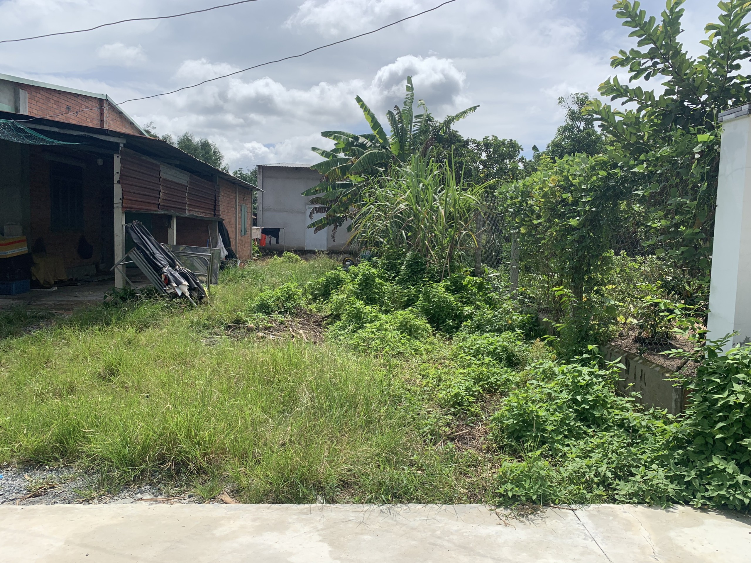 Chính Chủ Cần Bán đất tại Ấp Chánh , Hiệp Thạnh , Gò Dầu , tỉnh Tây Ninh