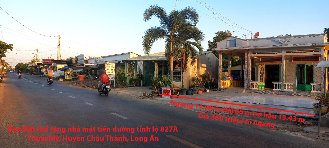 CHÍNH CHỦ CẦN BÁN GẤP ĐẤT THỔ TẶNG NHÀ MẶT TIỀN ĐƯỜNG TỈNH LỘ 827A NHỰA TRÊN 10M. THUẬN MỸ, CHÂU THÀNH, LONG AN.