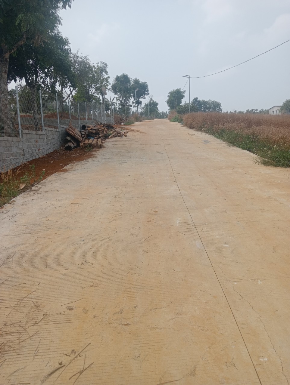 Bán Đất Mặt Đường Bê Tông Thôn 10 Đắk Wer, Huyện Đắk Rlấp Đắk Nông.