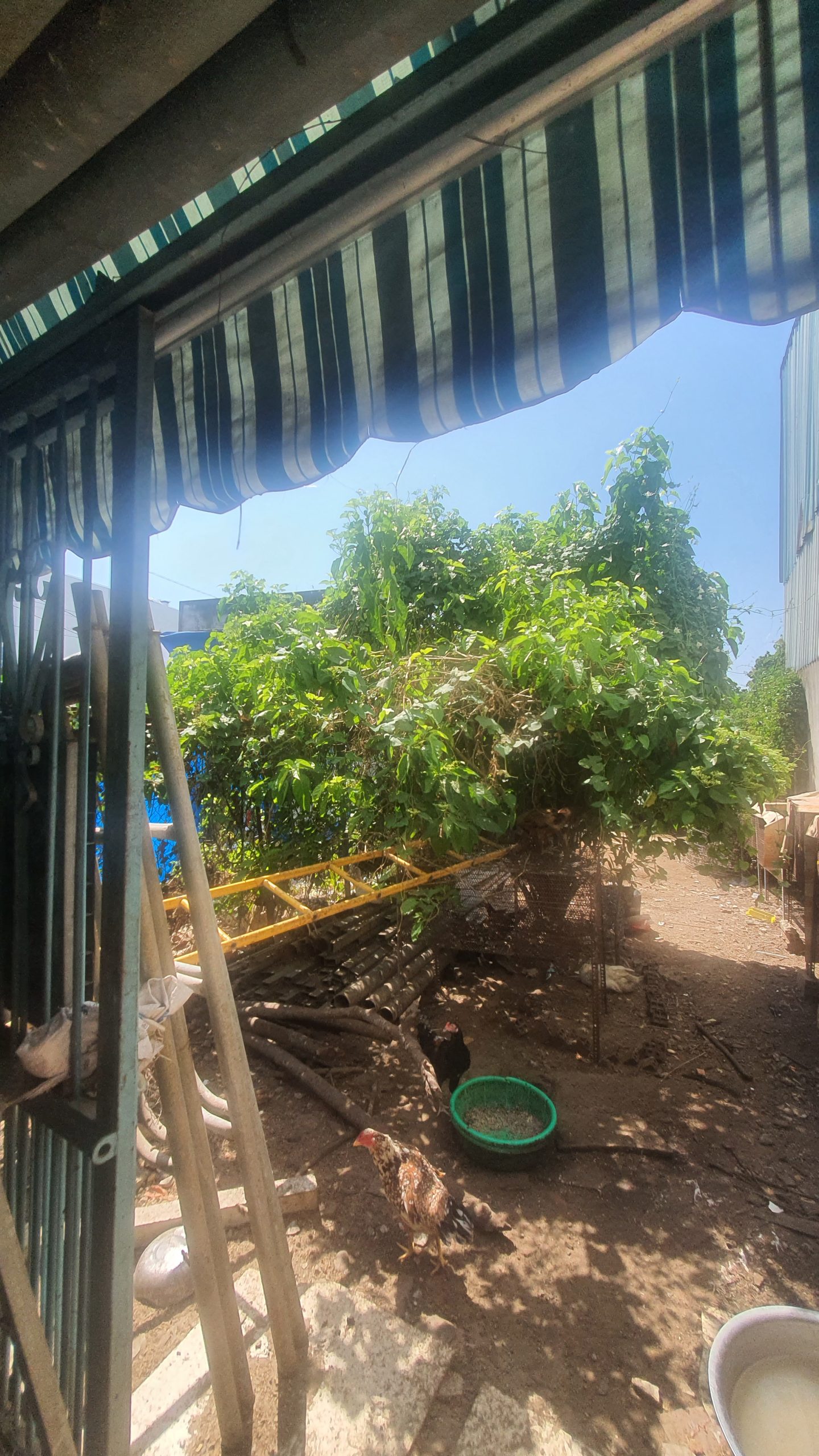 Bán Nhà - Huỳnh Tấn Phát - 300m - Giá 4.6 Tỷ - TT Nhà Bè - Nhà Bè. Mời Chào ACE Đầu Tư.