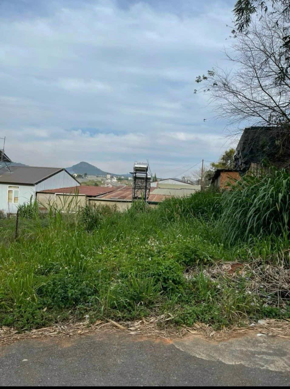 Bán đất biệt thự tại Vạn Hạnh Phường 8 Đà Lạt 216m2