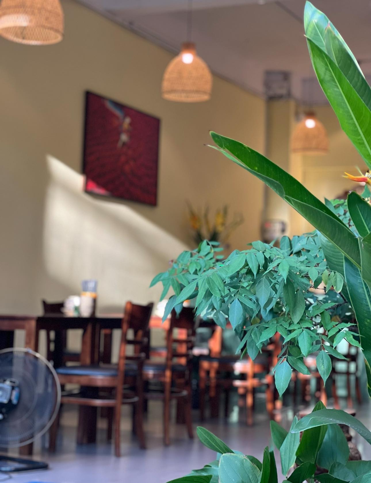 SANG NHƯỢNG THƯƠNG HIỆU – MẶT BẰNG LỢI NHUẬN TRÊN 60TR- THÁNG