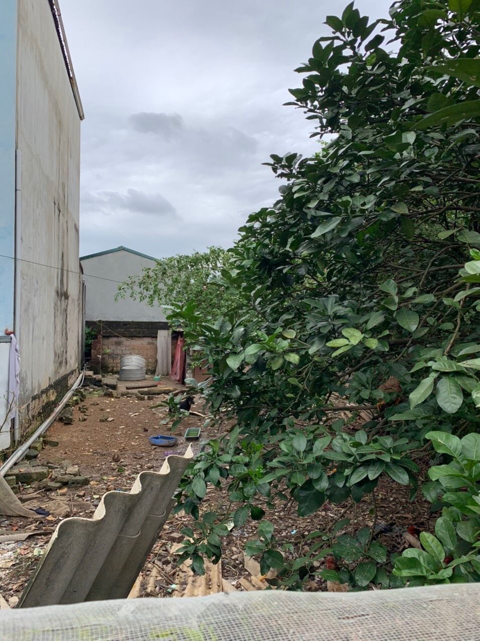 Bán đất chương mỹ 150m2, mặt tiền 8m , 1.8 tỷ (thương lượng)