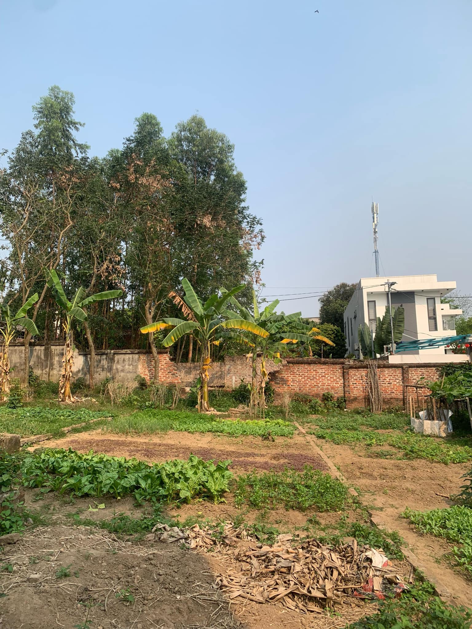 nhỉnh 800tr đất trung tâm Xuân Hòa, Phúc Yên, Vĩnh Phúc