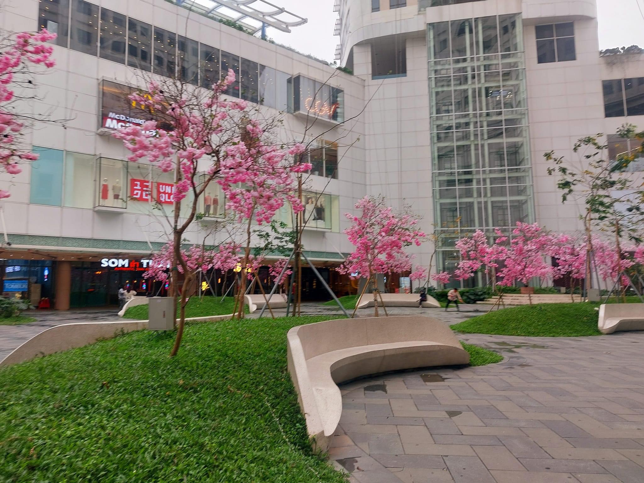 BÁN CĂN HỘ CHUNG CƯ INDOCHINA PLAZA IPH 241 XUÂN THUỶ - 220M 4PN - SUB-PENTHOUSE SĐCC CĂN GÓC FULL NỘI THẤT