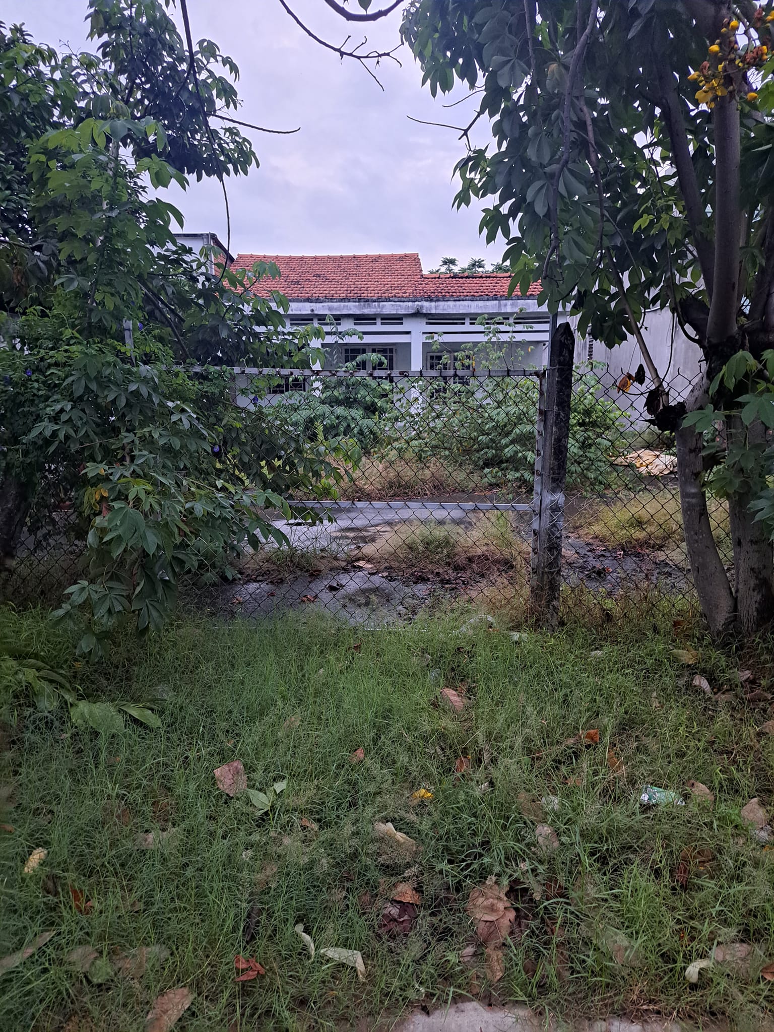 Bán Gấp Mặt Tiền Tân Thới Nhì 2 Hóc Môn 373m2 Chỉ 13 Tỷ