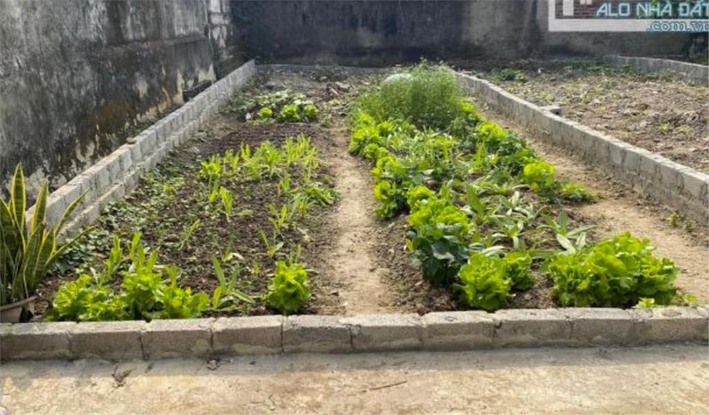 Bán mảnh đất 42m, TT Xã Tự nhiên -Thường Tín giá 650 Tr/m2