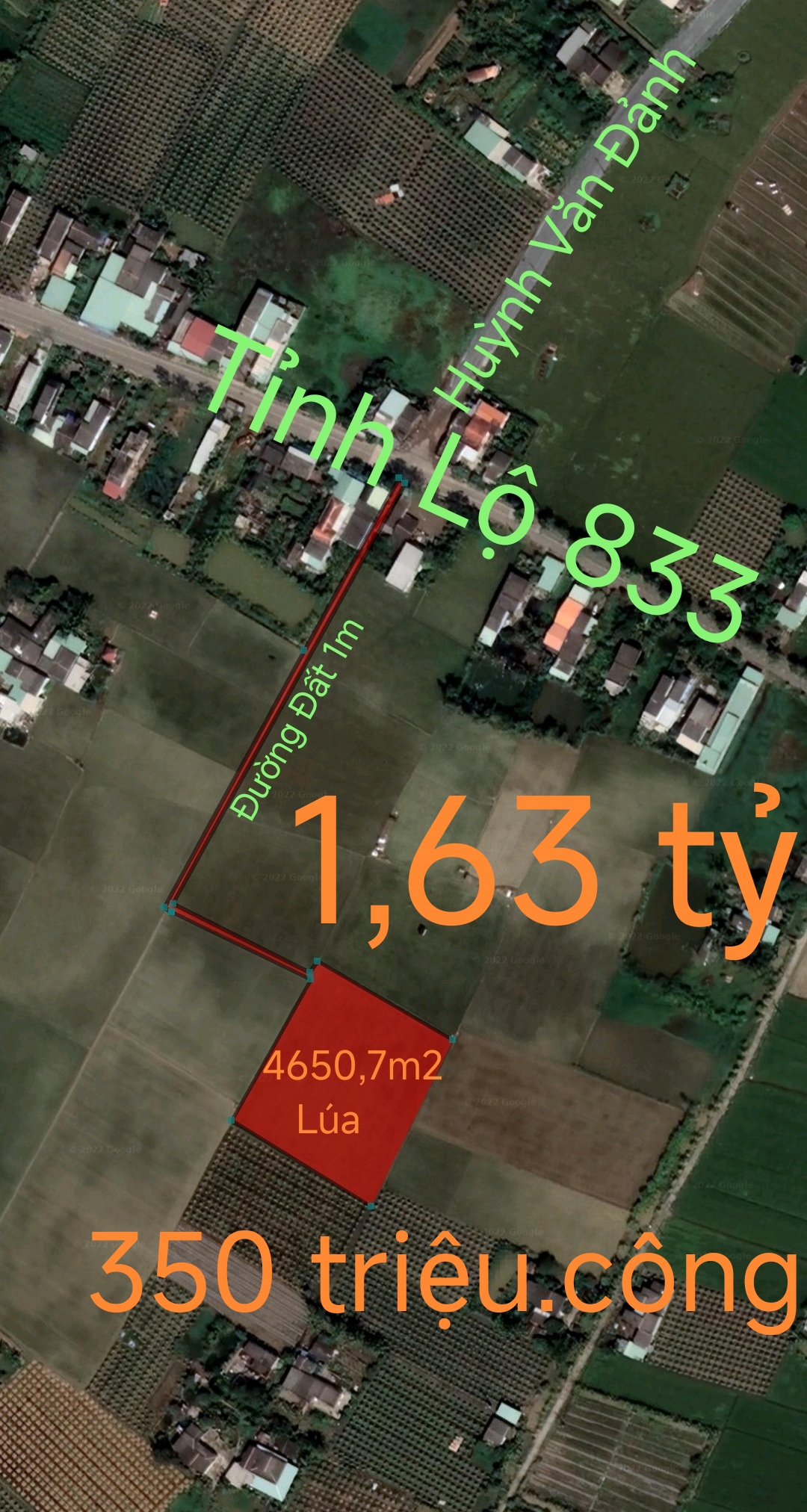 Bán gấp lô đất lúa xã Đức Tân giá 350 triệu.công