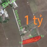  1000m2 - 1