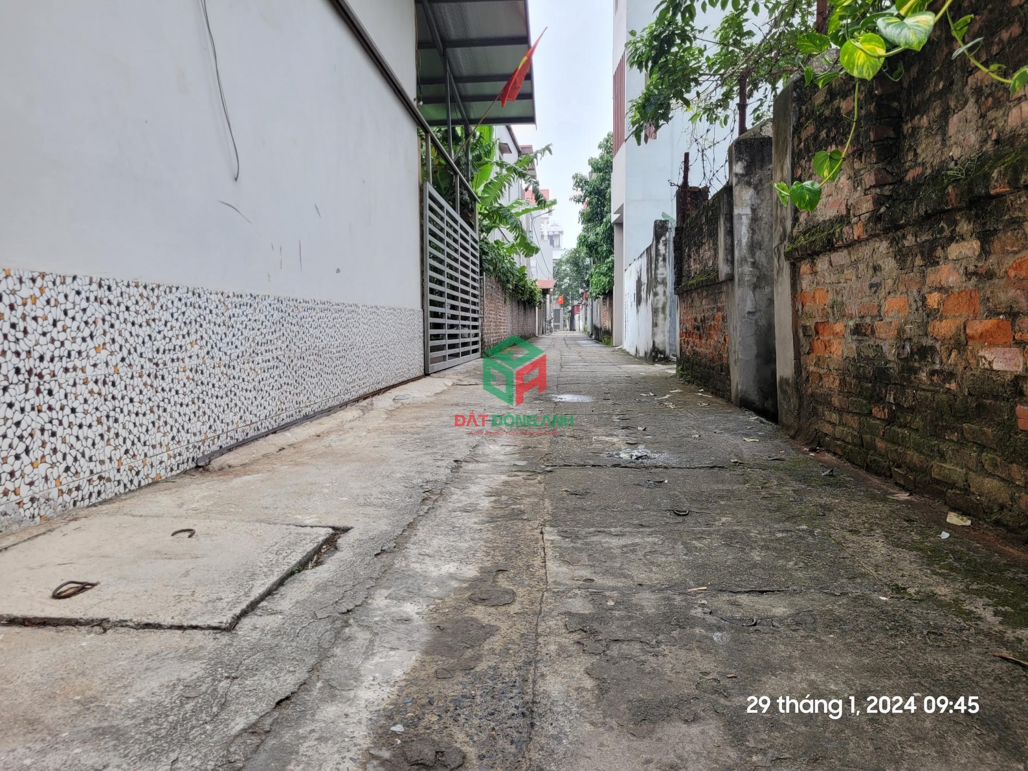 Bán đất Đản Dị Uy Nỗ - 66m2 - Đường thông ô tô vào - 4x