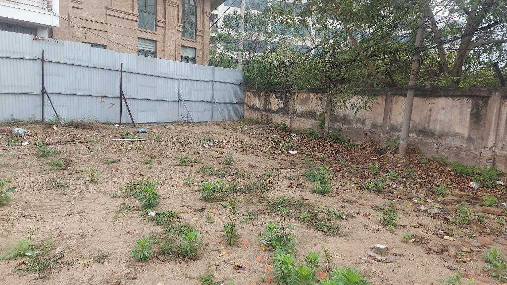 Vị trí vàng phố Nguyễn Thị Định 84m2 nhà 3 mặt tiền 10m kinh doanh VIP phường Trung Hòa