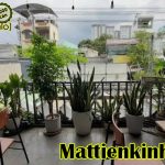  100m2 - 3