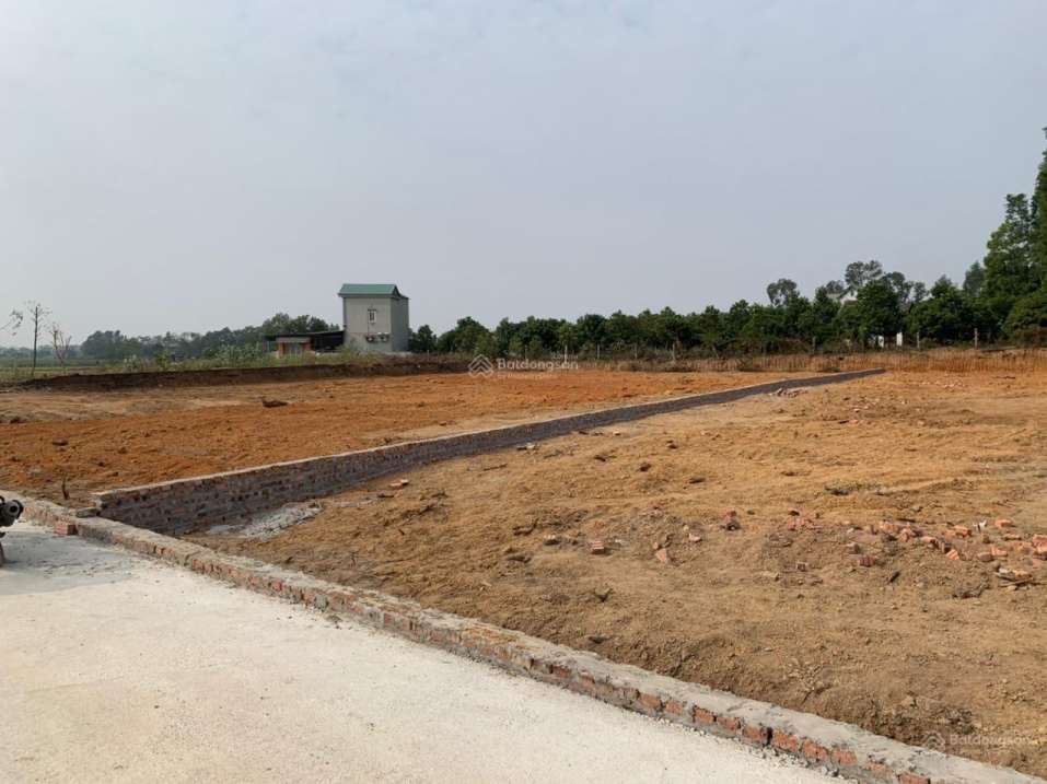 Bán 3.000 m2 đất cạnh sân Golf, khu công nghiệp sạch xã Minh Trí, Sóc Sơn, Hà Nội