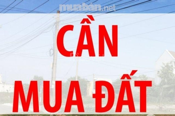 Cần mua đất BĐS HUD hoặc xây dựng Hà Nội Nhơn Trạch , Đồng Nai
