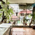  50m2 - 6