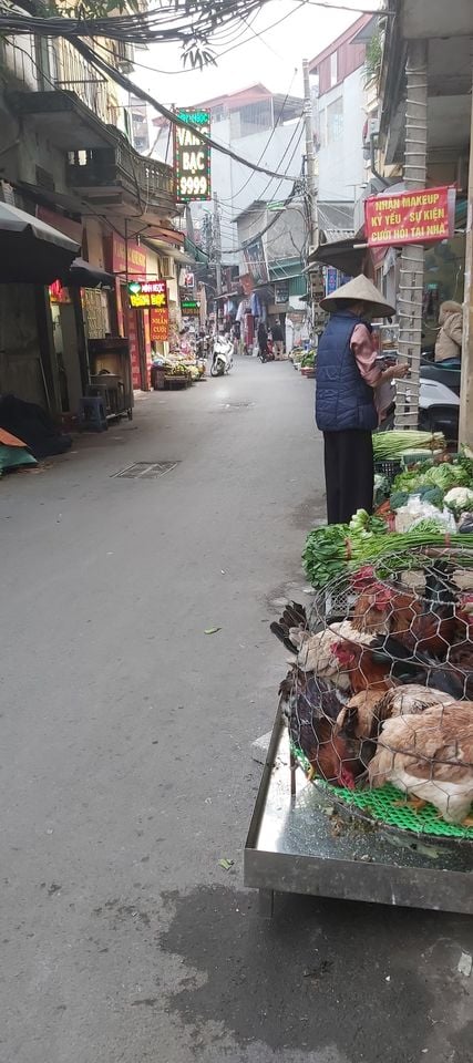 Bán đất Mỹ Đình, 65m, mặt ngõ thông, kinh doanh, ô tô, 10.4tỷ