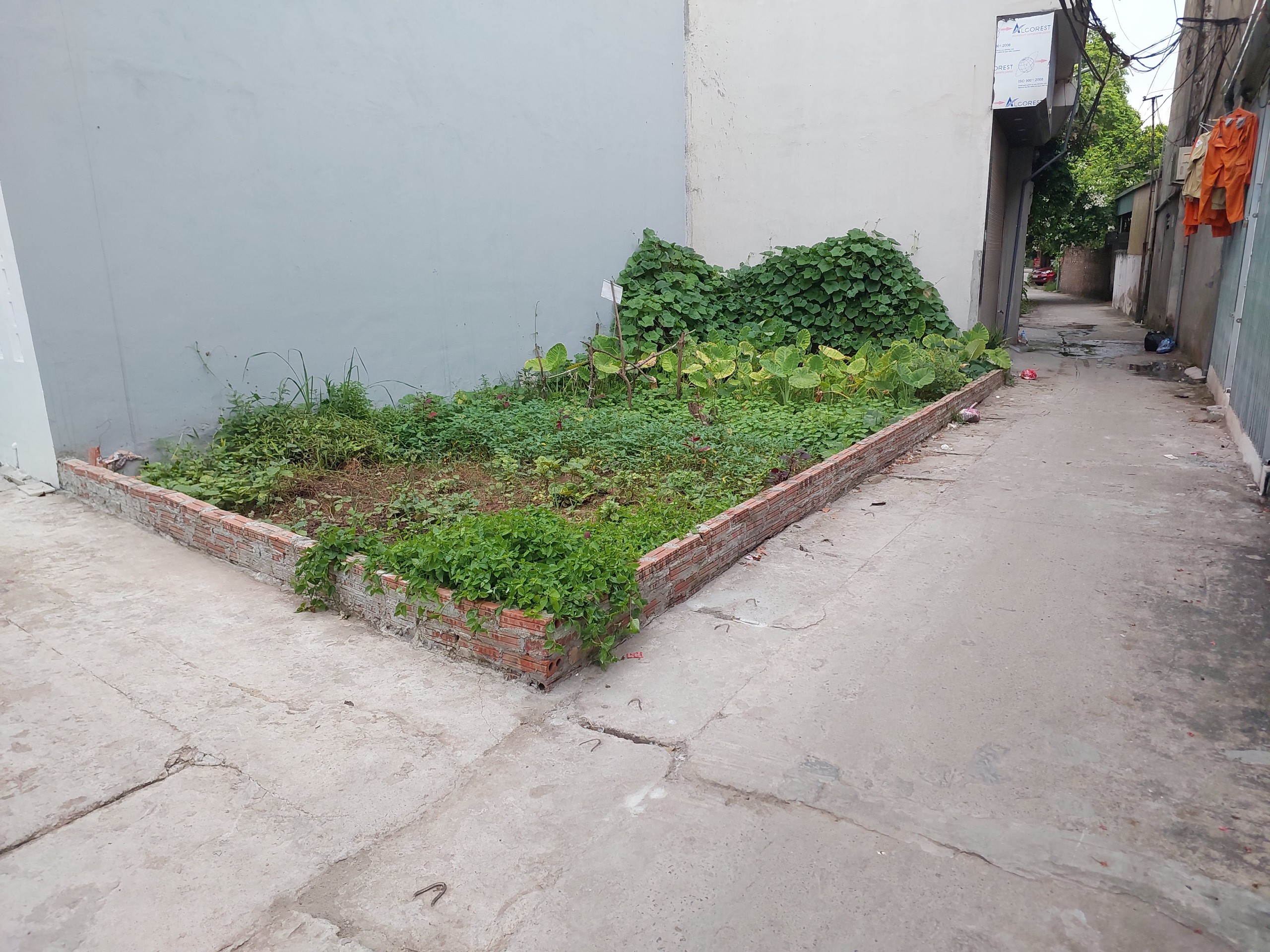 Cắt lỗ Đất Liên Mạc, lô góc, ô tô, giá 2.65 tỷ