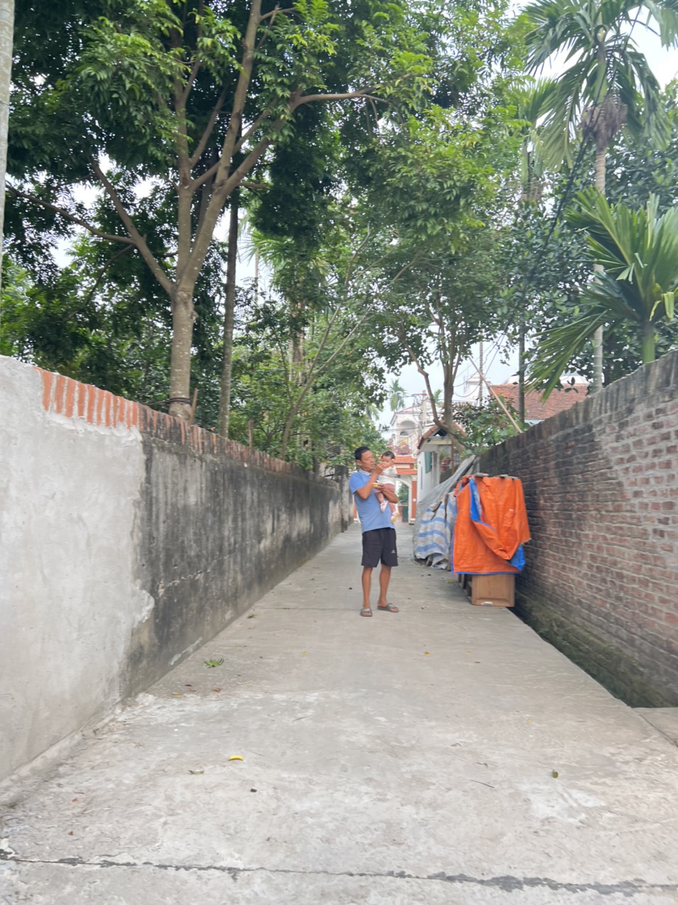 phụng châu 52m đất đường ô tô chạy thông - 1.x tỷ lvcc