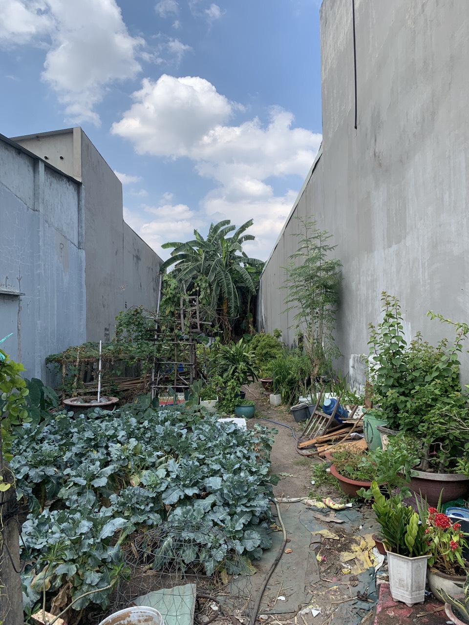 Bán đất dt 220m2 sổ riêng, thổ cư 100% giá chỉ 19tr/m2 trung tâm Biên Hoà, P. Tam Hiệp.