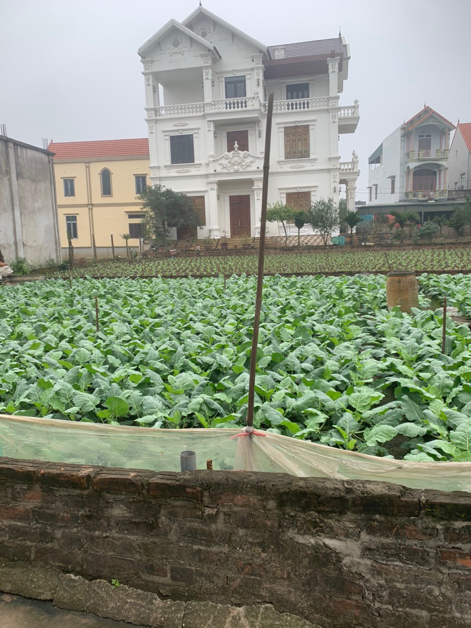 Chính chủ cần bán mảnh đất tại Vĩnh Lộc - Thư Phú - Thường Tín - Hà Nội.