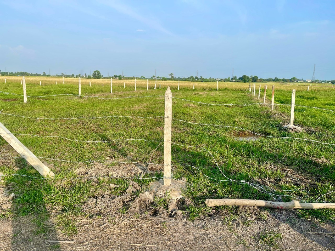 Chính chủ gửi bán lô nông nghiệp Củ Chi - tp Hồ Chí Minh