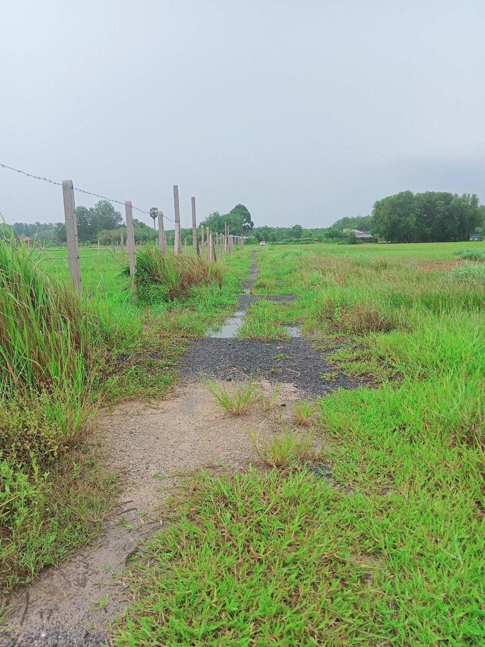 **CHÍNH CHỦ BÁN ĐẤT XÃ AN NHƠN TÂY - HUYỆN CỦ CHI - TP. HỒ CHÍ MIINH**